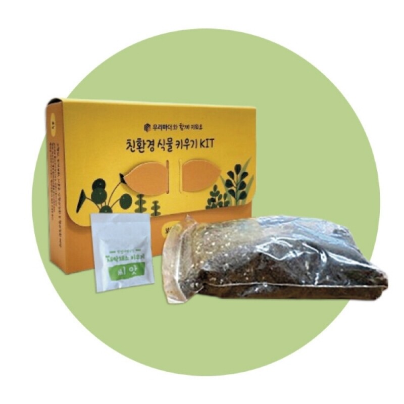 강원더몰,보리싹 키트
